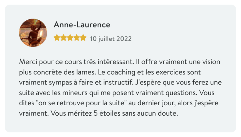 Tarot-Anne-Laurence