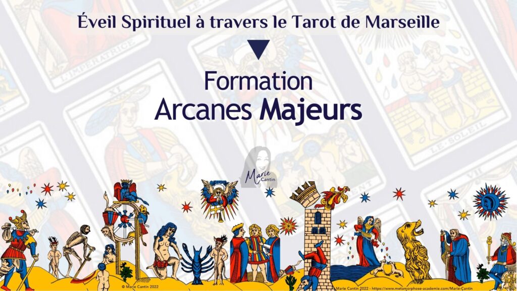 MarieCantin-Formation Majeurs